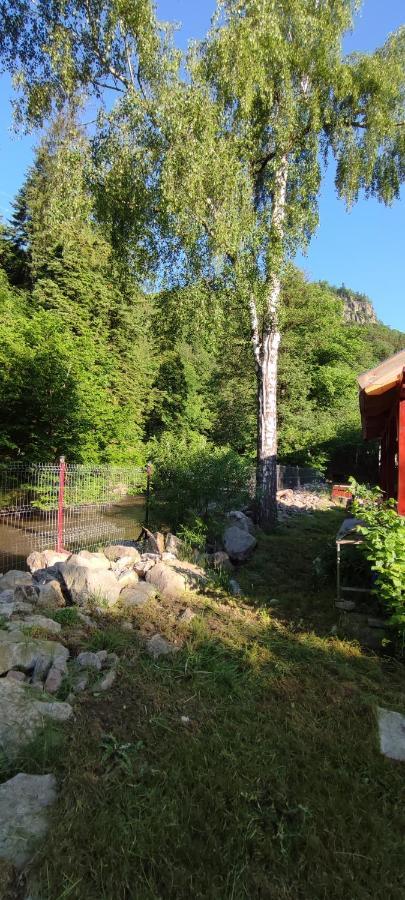 Olt-Part Vendégház BaileTusnad Esterno foto