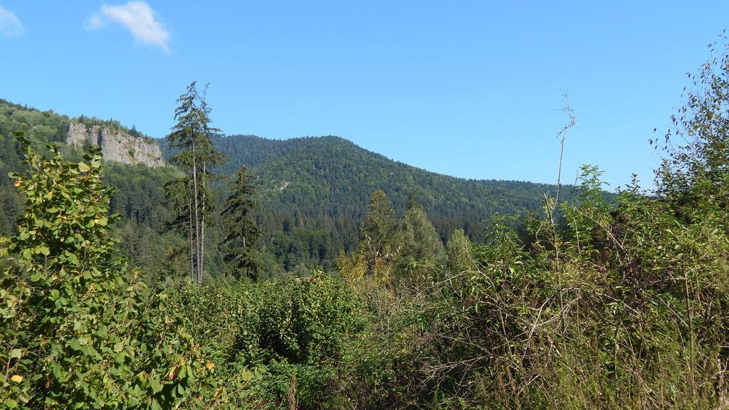 Olt-Part Vendégház BaileTusnad Esterno foto